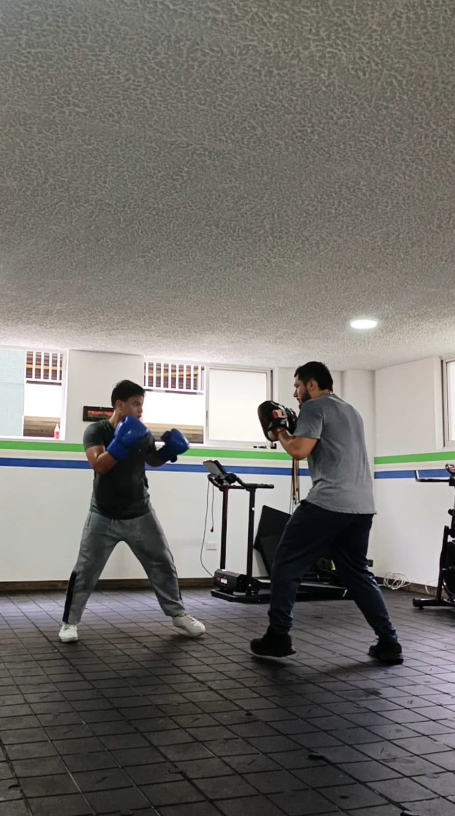 Entrenamiento con manoplas en el gimnasio
